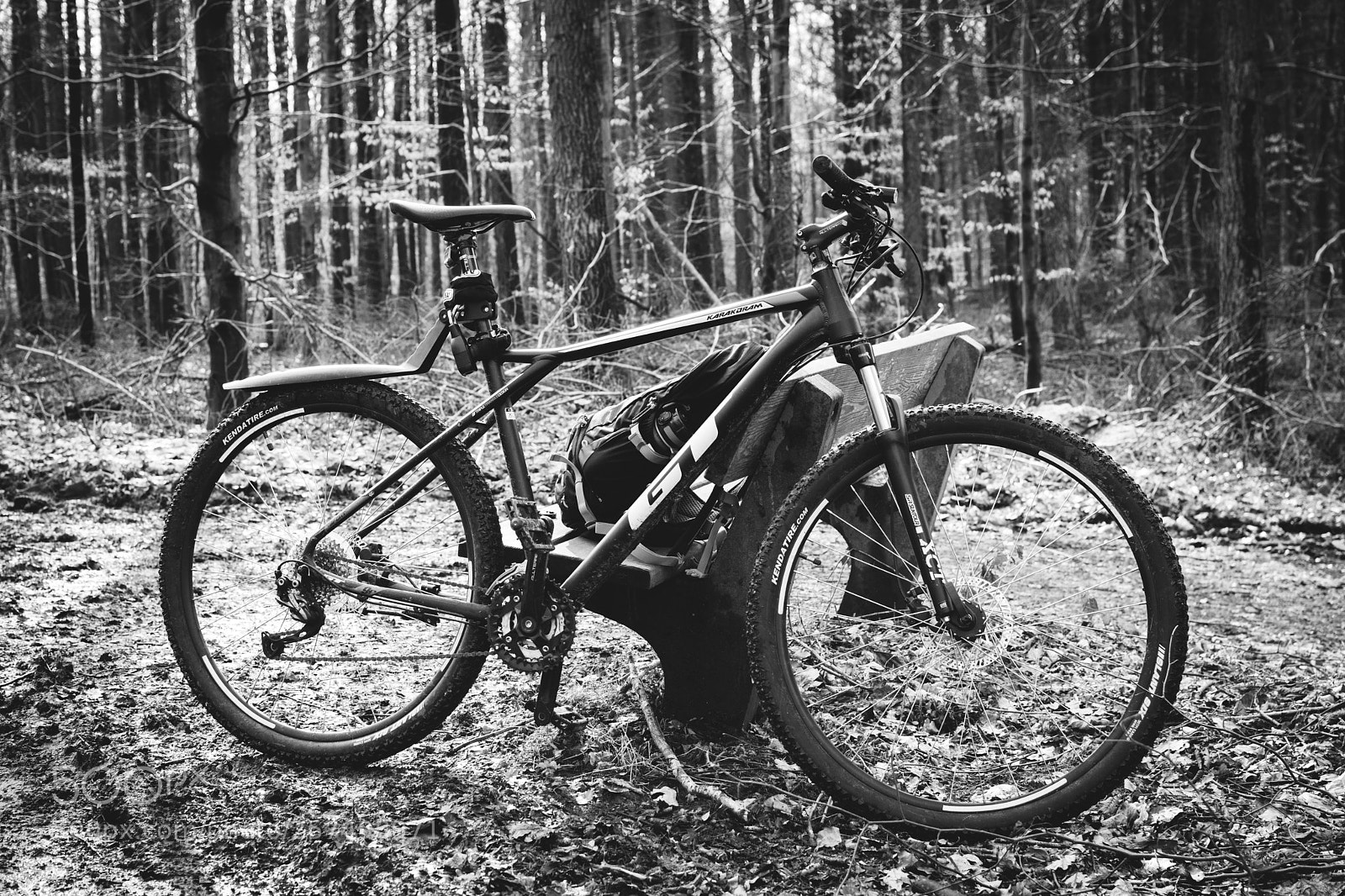 Nikon D7100 sample photo. Gone biking photography