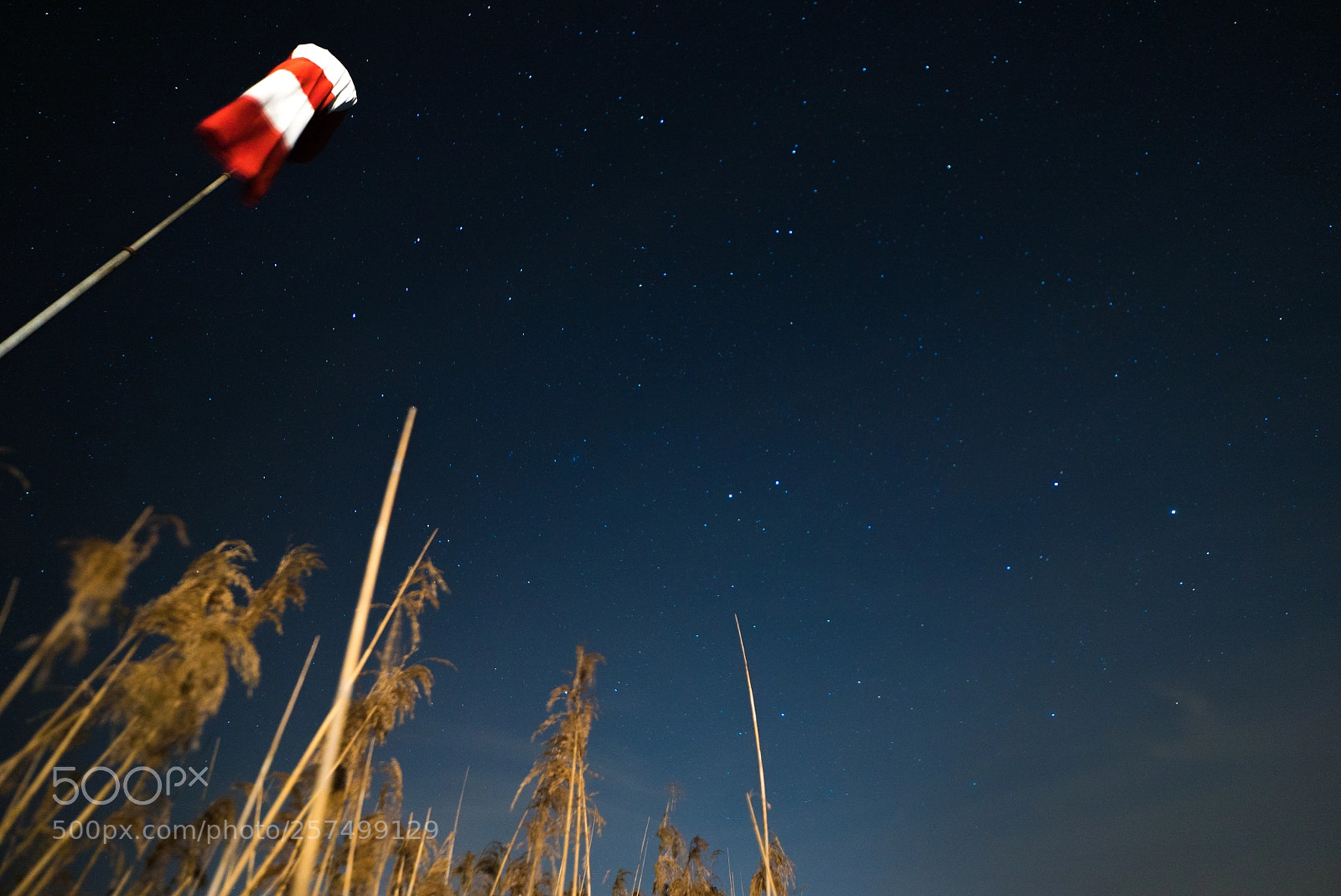 Sony a7S sample photo. Nacht paranodon photography