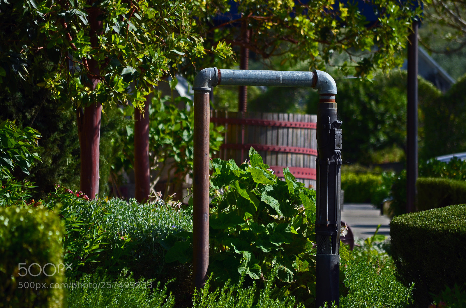 Nikon D5100 sample photo. Winery view photography