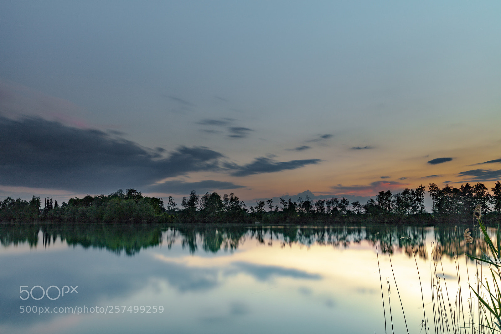 Canon EOS 5DS R sample photo. Hagauer weiher photography