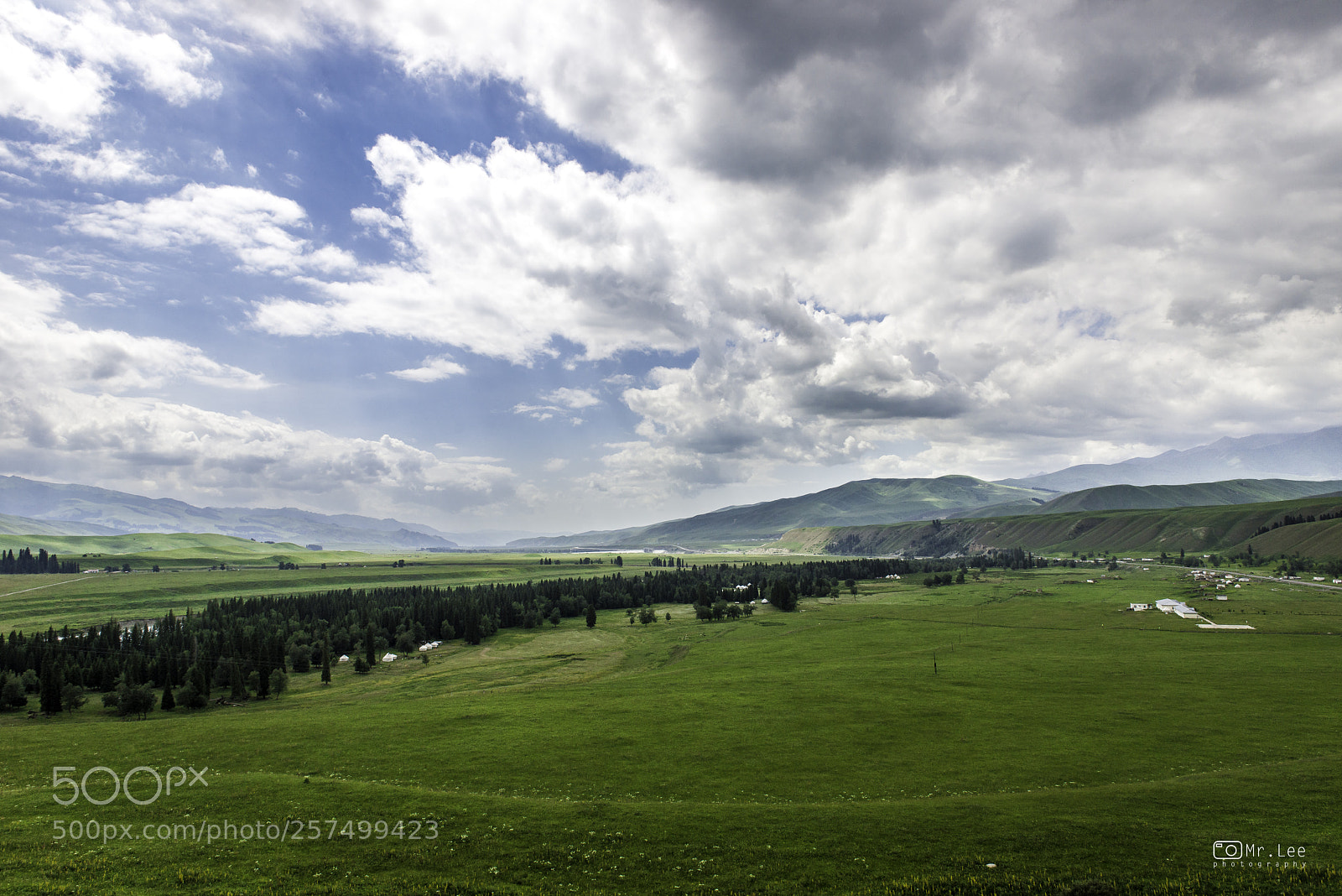 Nikon D800 sample photo. Grassland in xinjiang photography