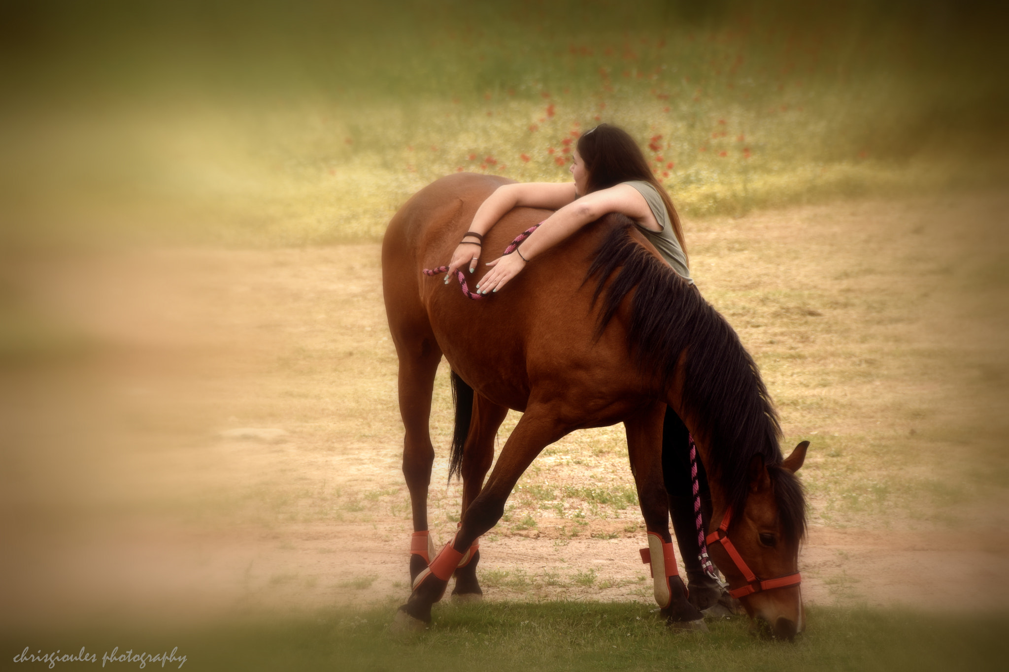 Nikon D5500 sample photo. The girl and the horse photography