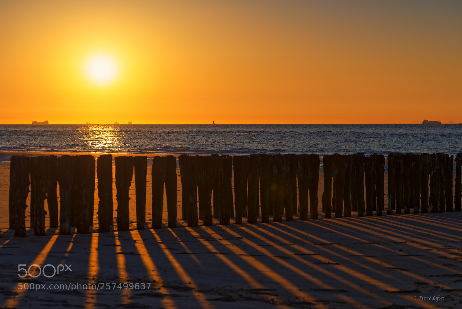 Nikon D800 sample photo. Sunset photography