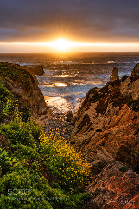 Sony a7R III sample photo. Sunset through fog, garrapata photography