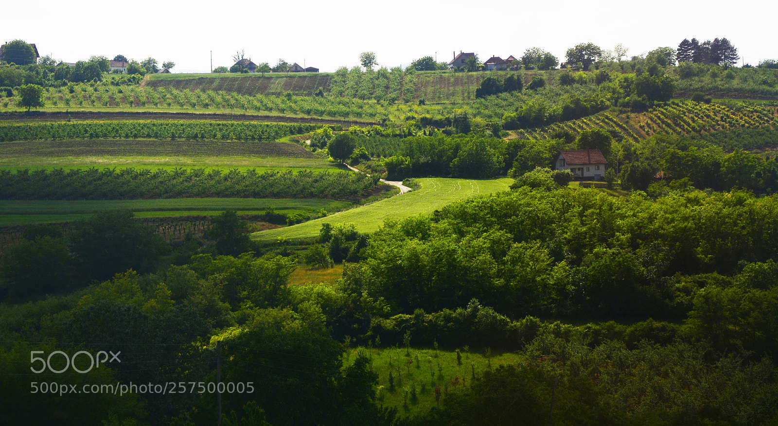 Nikon D7100 sample photo. Meadow landscape photography