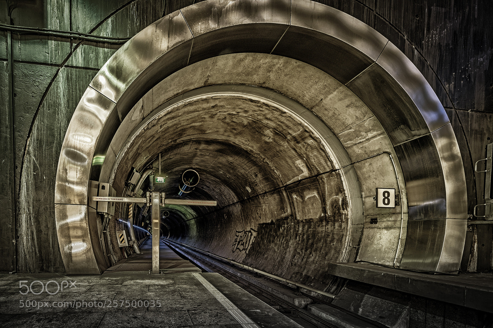 Sony a7 II sample photo. The golden tunnel photography
