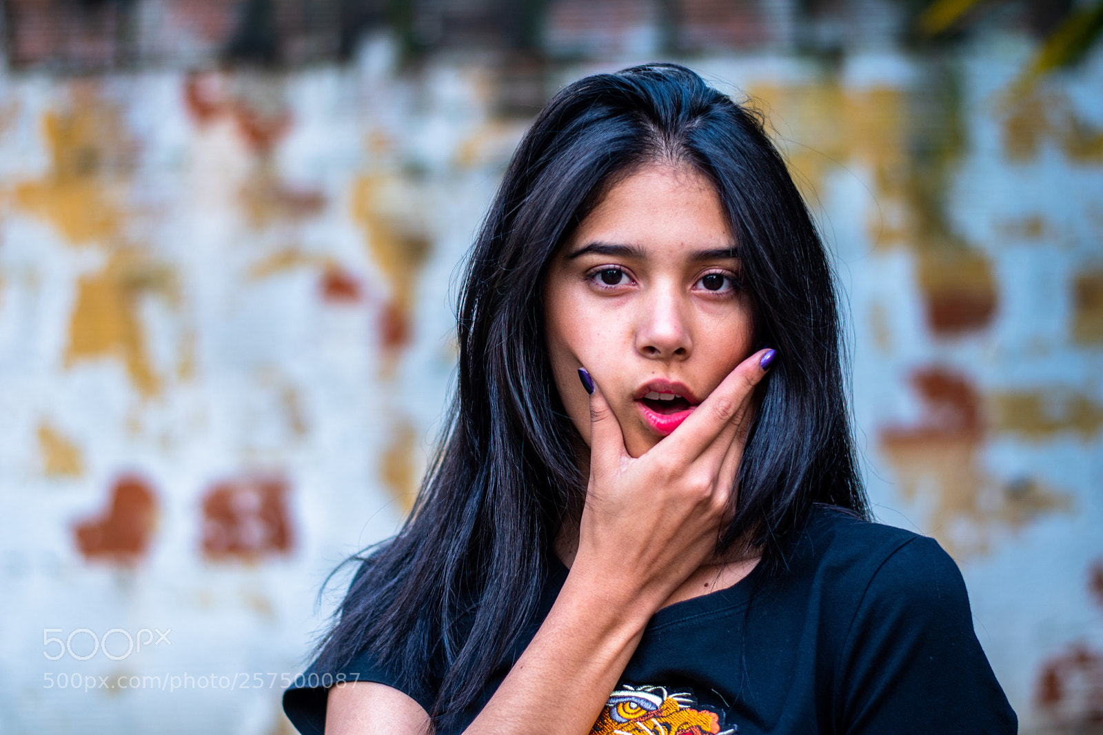 Nikon D5500 sample photo. Vale. photography