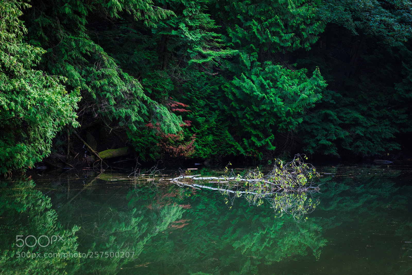 Nikon D810 sample photo. Untitled photography