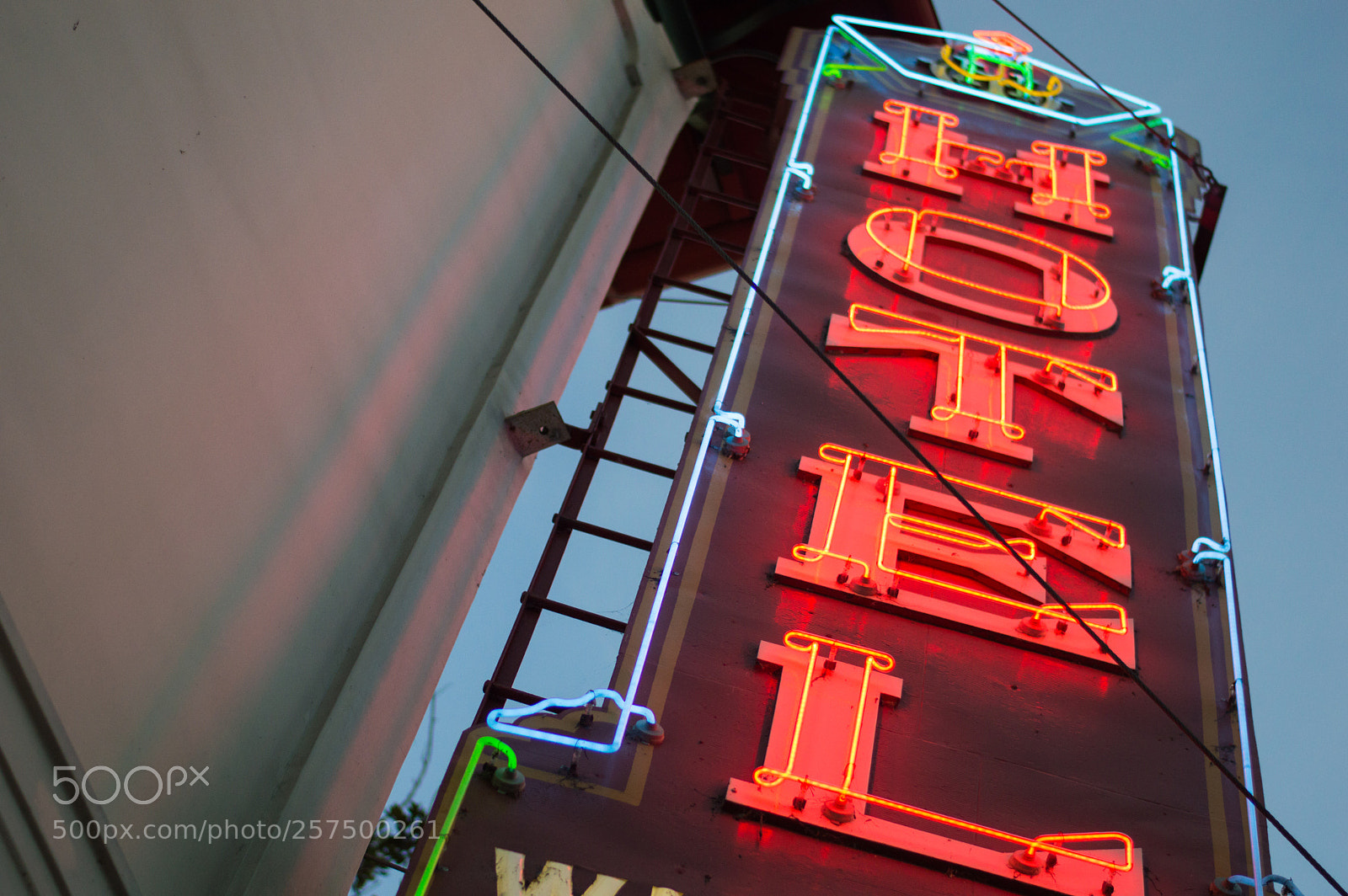 Nikon D3200 sample photo. Hotel neon photography