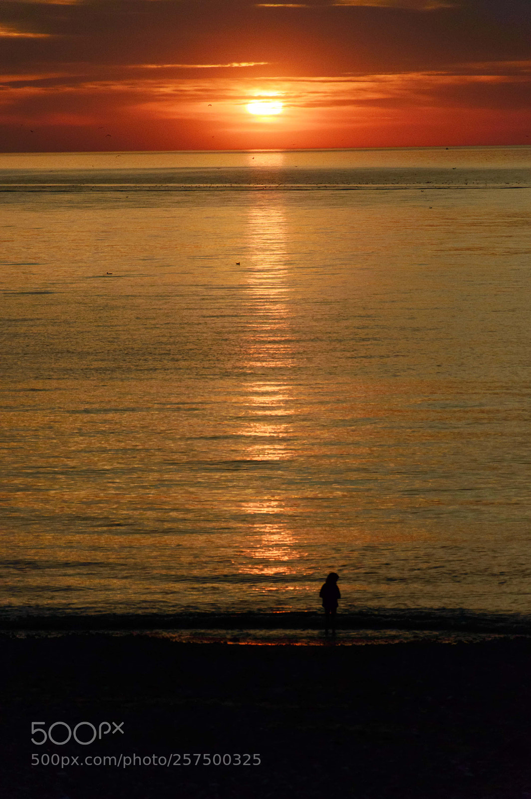 Nikon D3200 sample photo. Somme photography