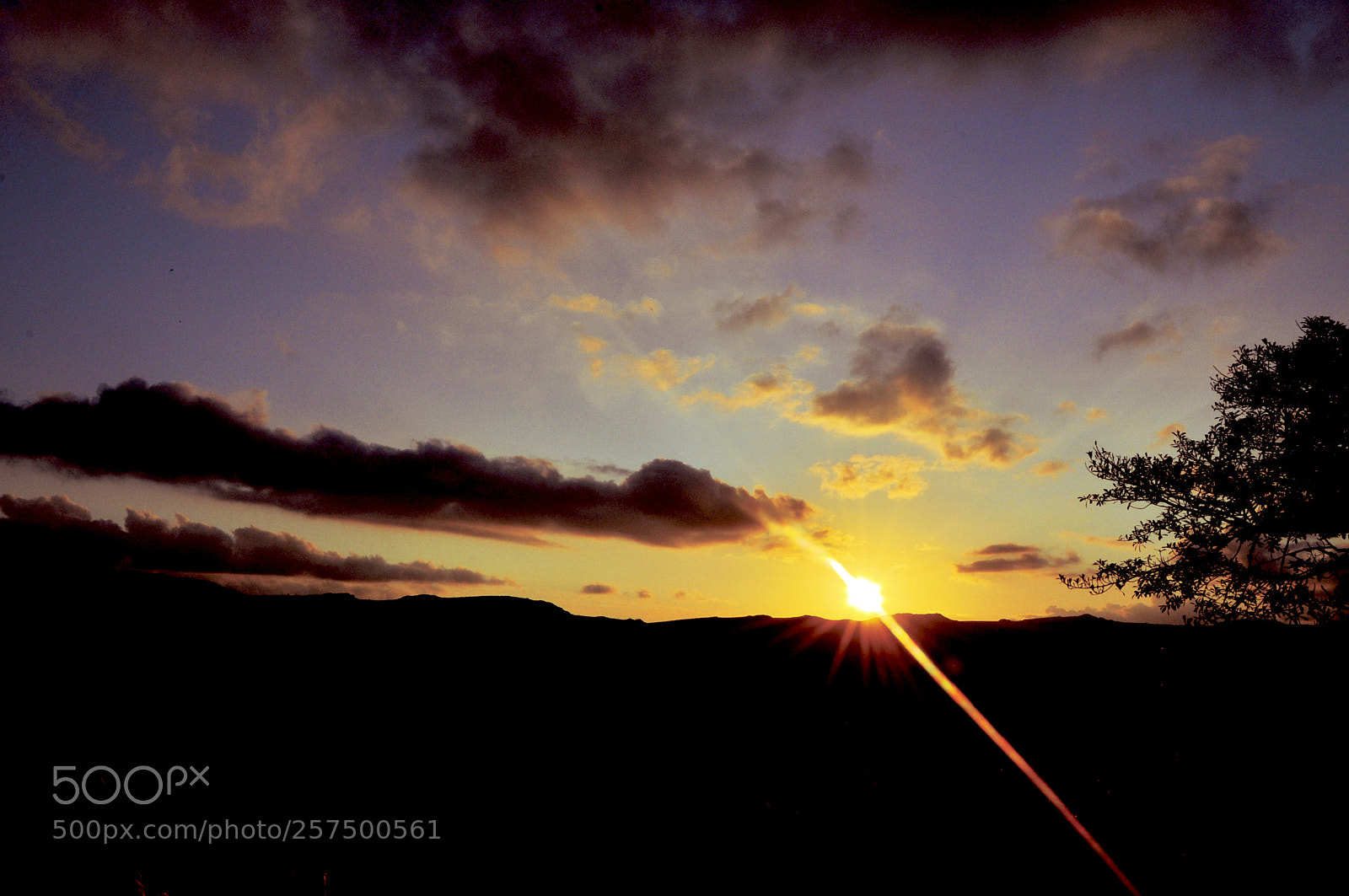 Nikon D90 sample photo. Nature's final showserra photography