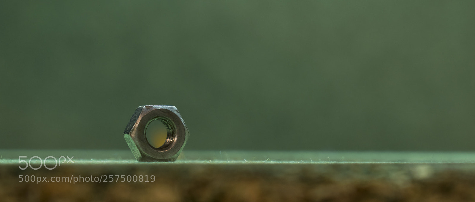 Nikon D5300 sample photo. Supposedly i have no photography