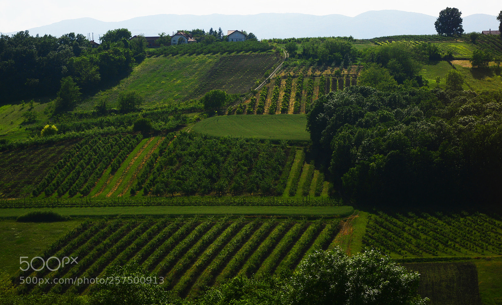 Nikon D7100 sample photo. Green meadow landscape photography