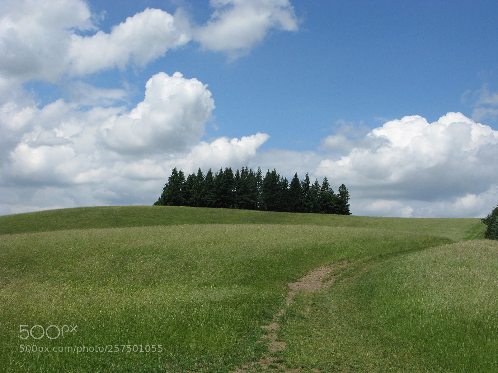 Canon POWERSHOT G9 sample photo. Kaiserstuhl schelinger matte schofmatte photography