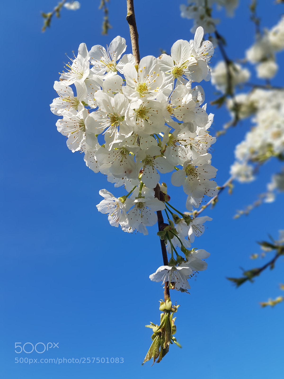 Samsung Galaxy S7 Edge sample photo. Untitled photography
