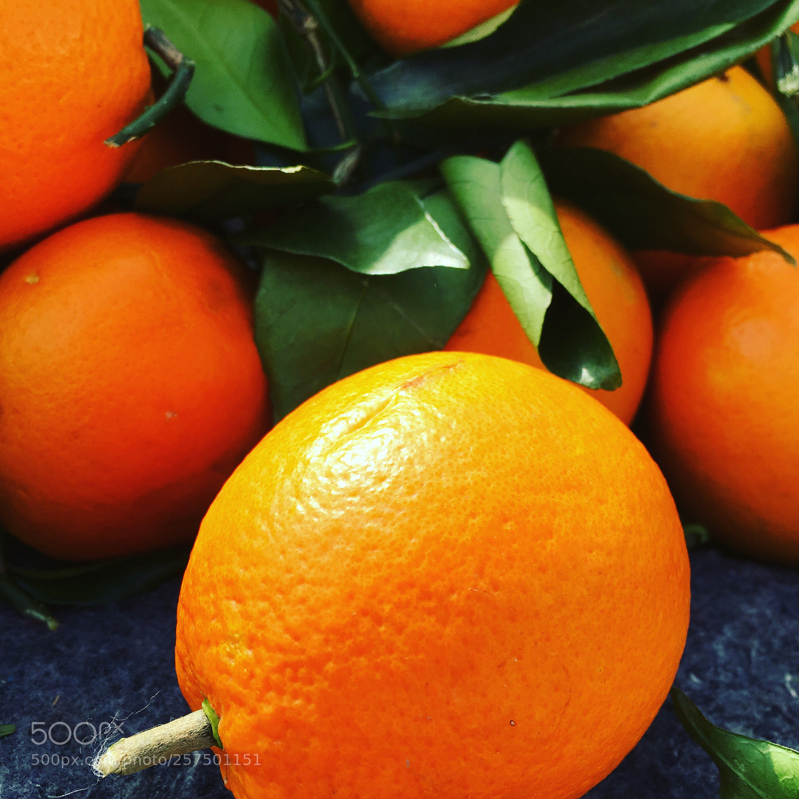 Apple iPhone SE sample photo. China orange  photography