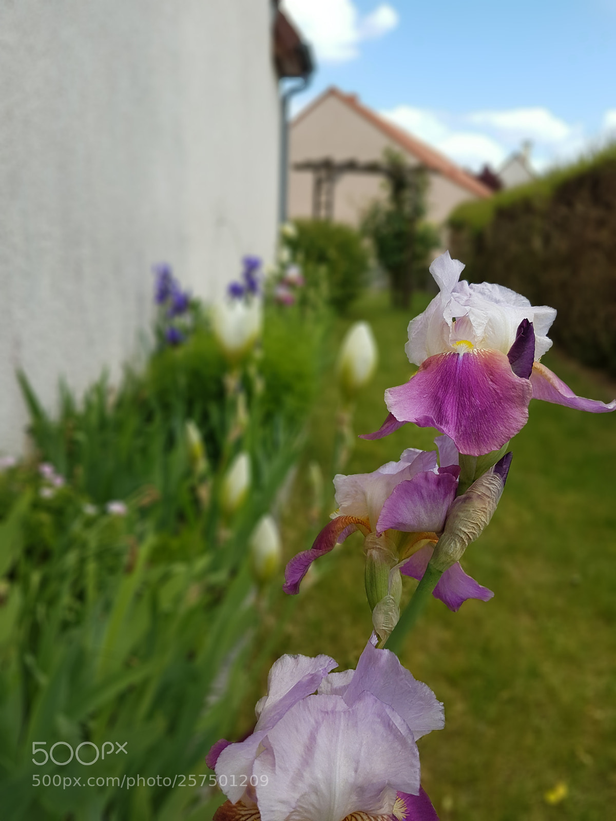 Samsung Galaxy S7 Edge sample photo. Untitled photography