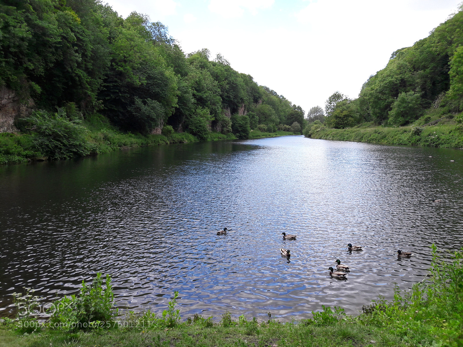 Samsung Galaxy A5(2016) sample photo. Creswell craggs photography