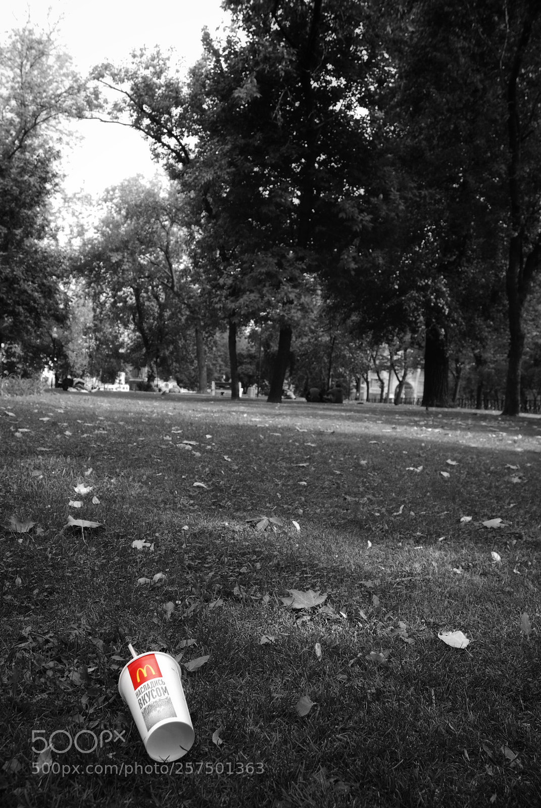 Nikon D80 sample photo. Red photography
