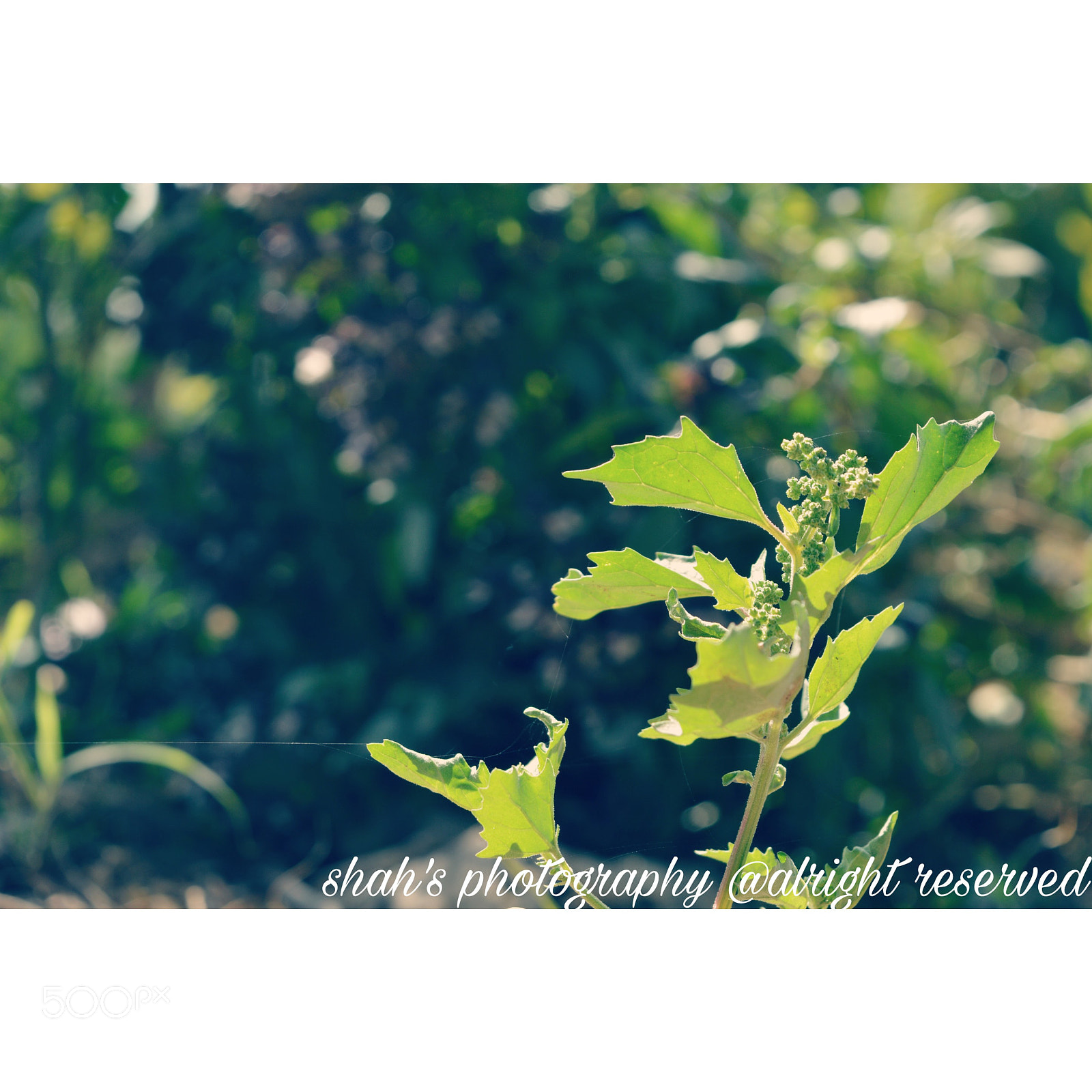 Nikon D3200 sample photo. Natural look photography