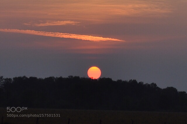 Nikon D5000 sample photo. Ball of fire photography