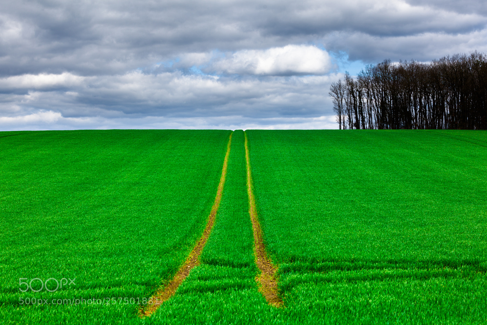 Canon EOS 5D Mark II sample photo. Landscape photography