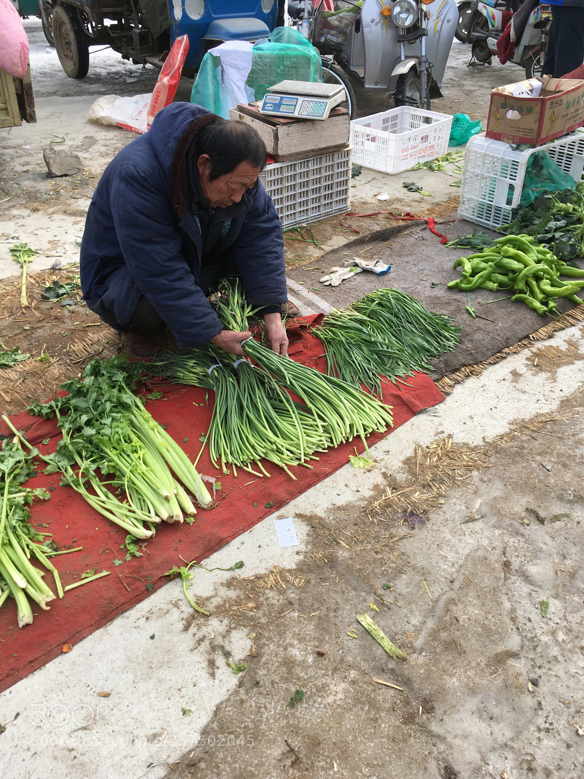Apple iPhone SE sample photo. Selling vegetables  photography