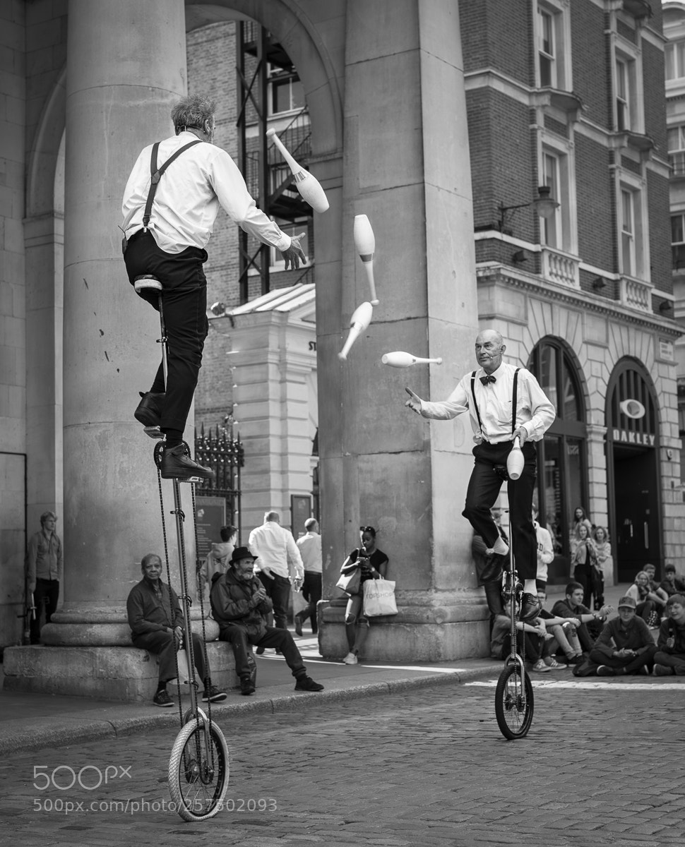 Nikon D850 sample photo. Balancing act photography