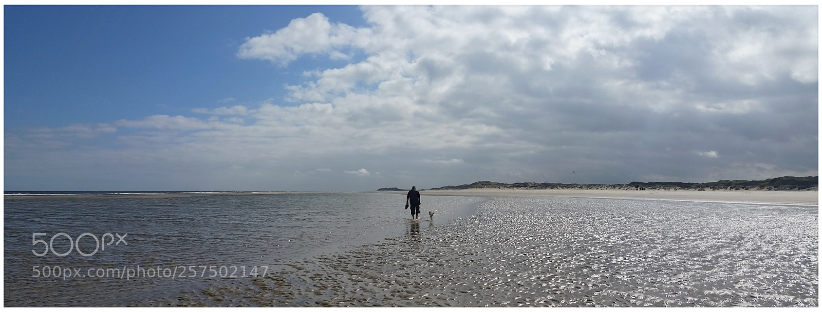 Samsung Galaxy S5 sample photo. Dad & dog photography