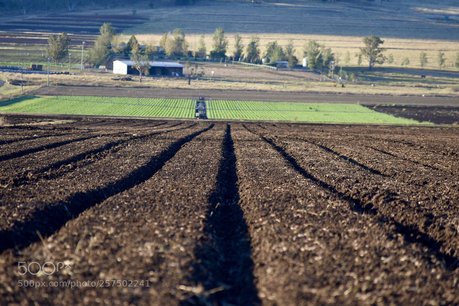Nikon D3400 sample photo. Winter plough photography