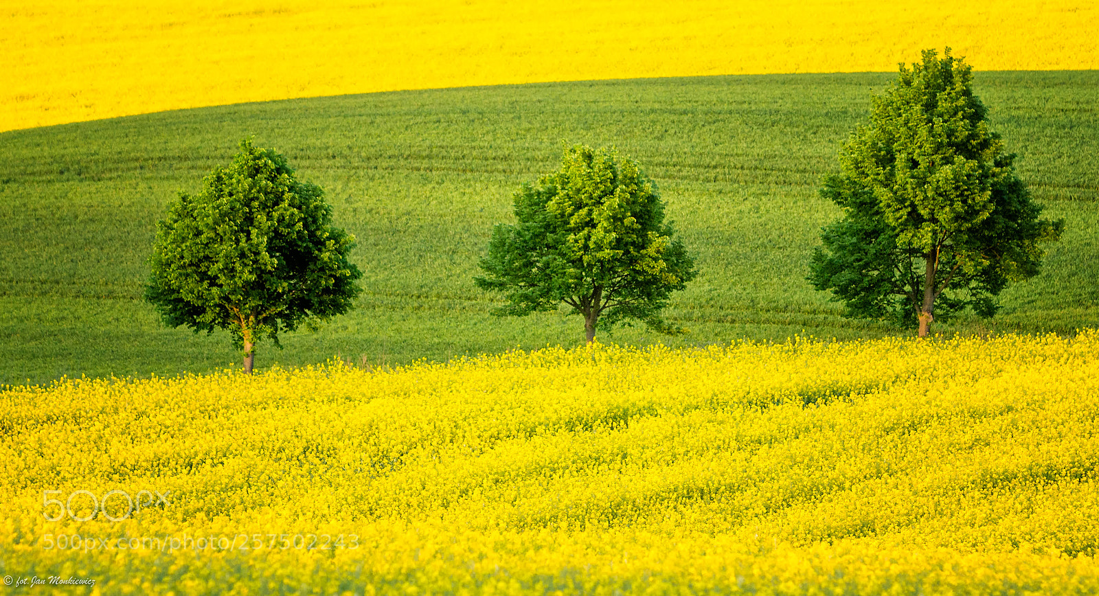 Canon EOS 6D sample photo. Edit edit photography