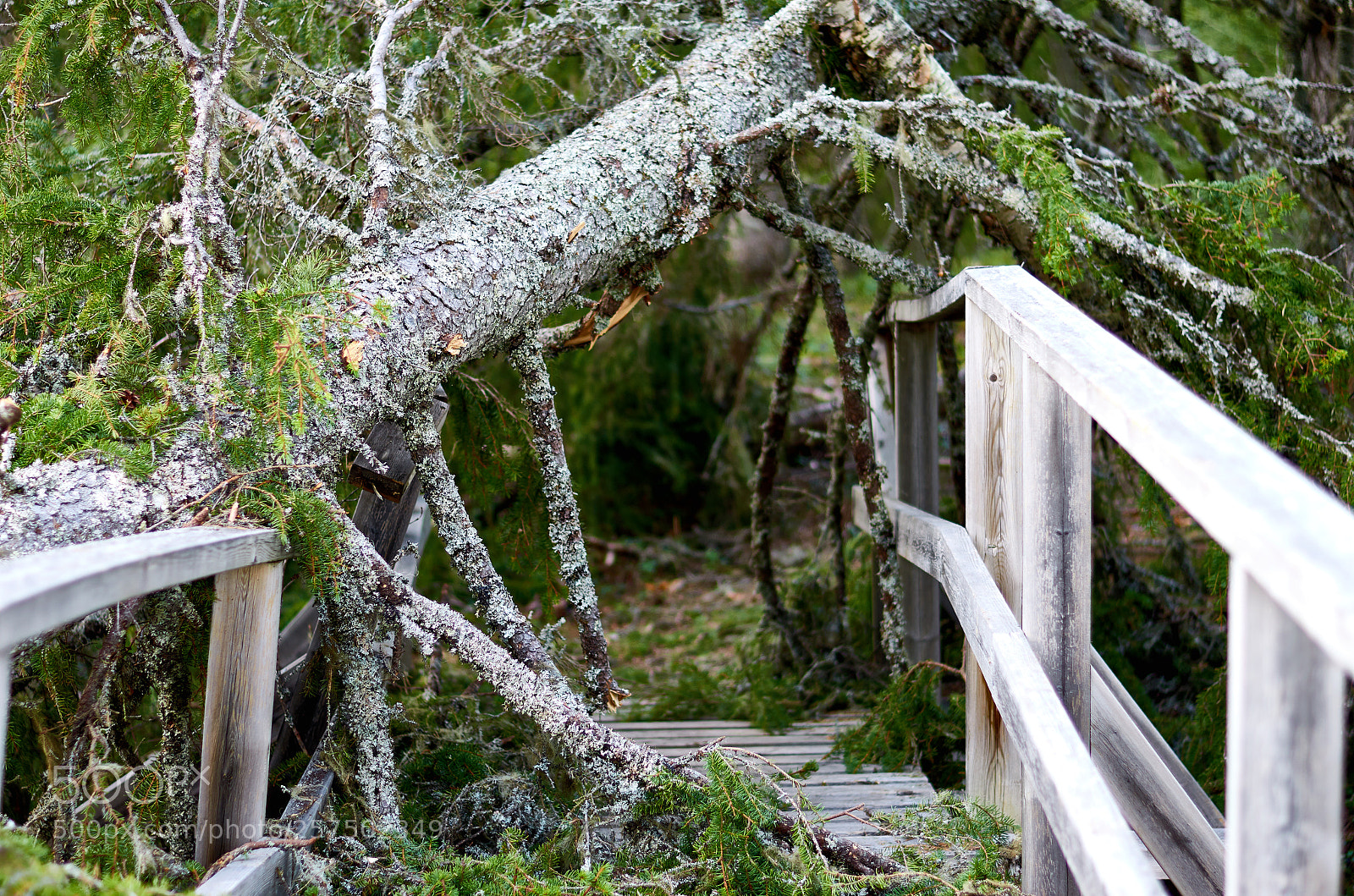 Nikon D5100 sample photo. After the storm photography