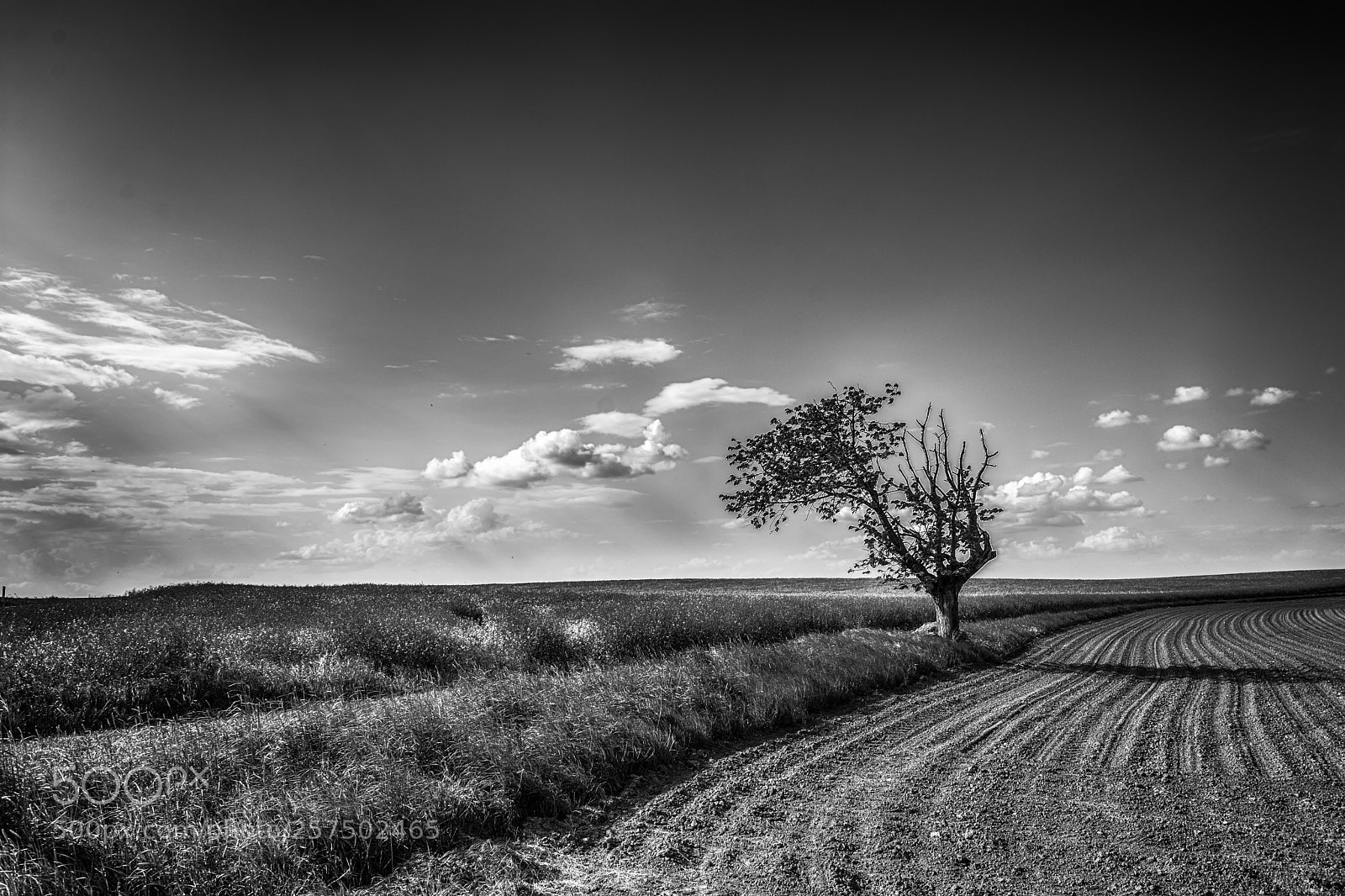 Nikon D7200 sample photo. Wide country photography