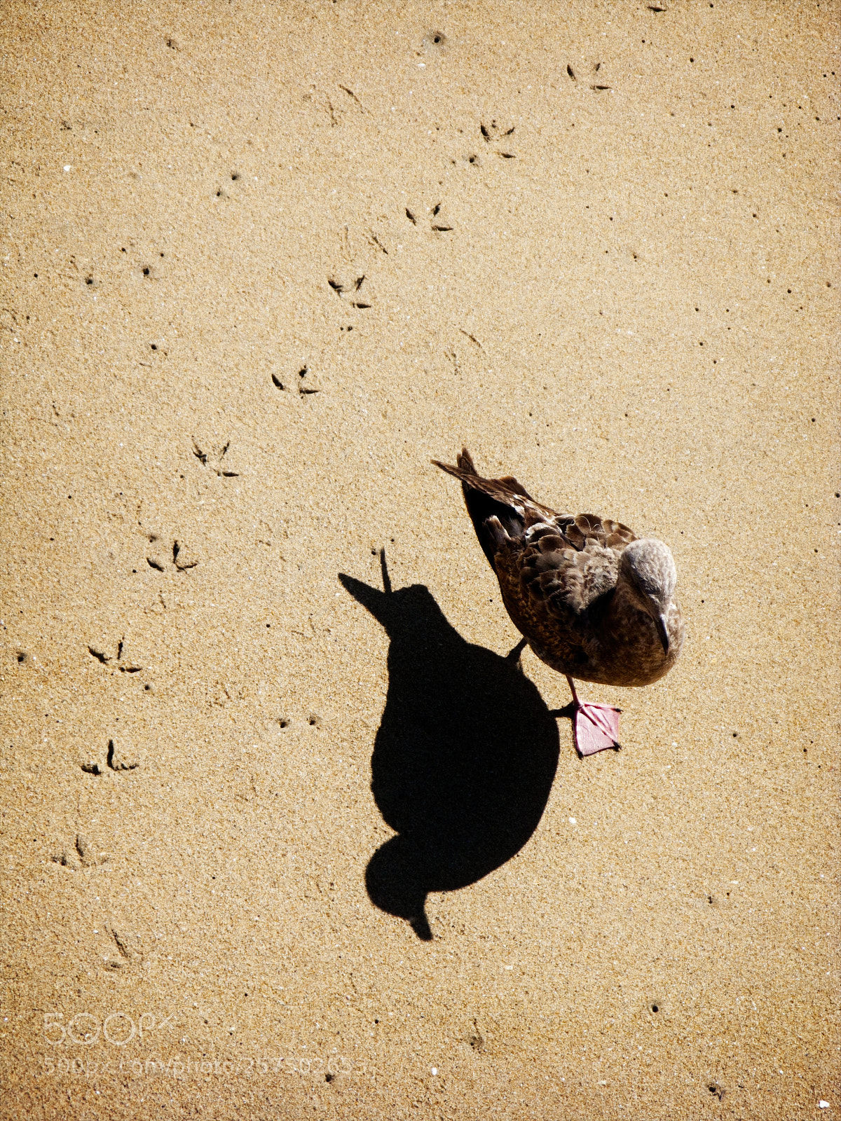 Canon POWERSHOT G9 sample photo. Me & my shadow photography