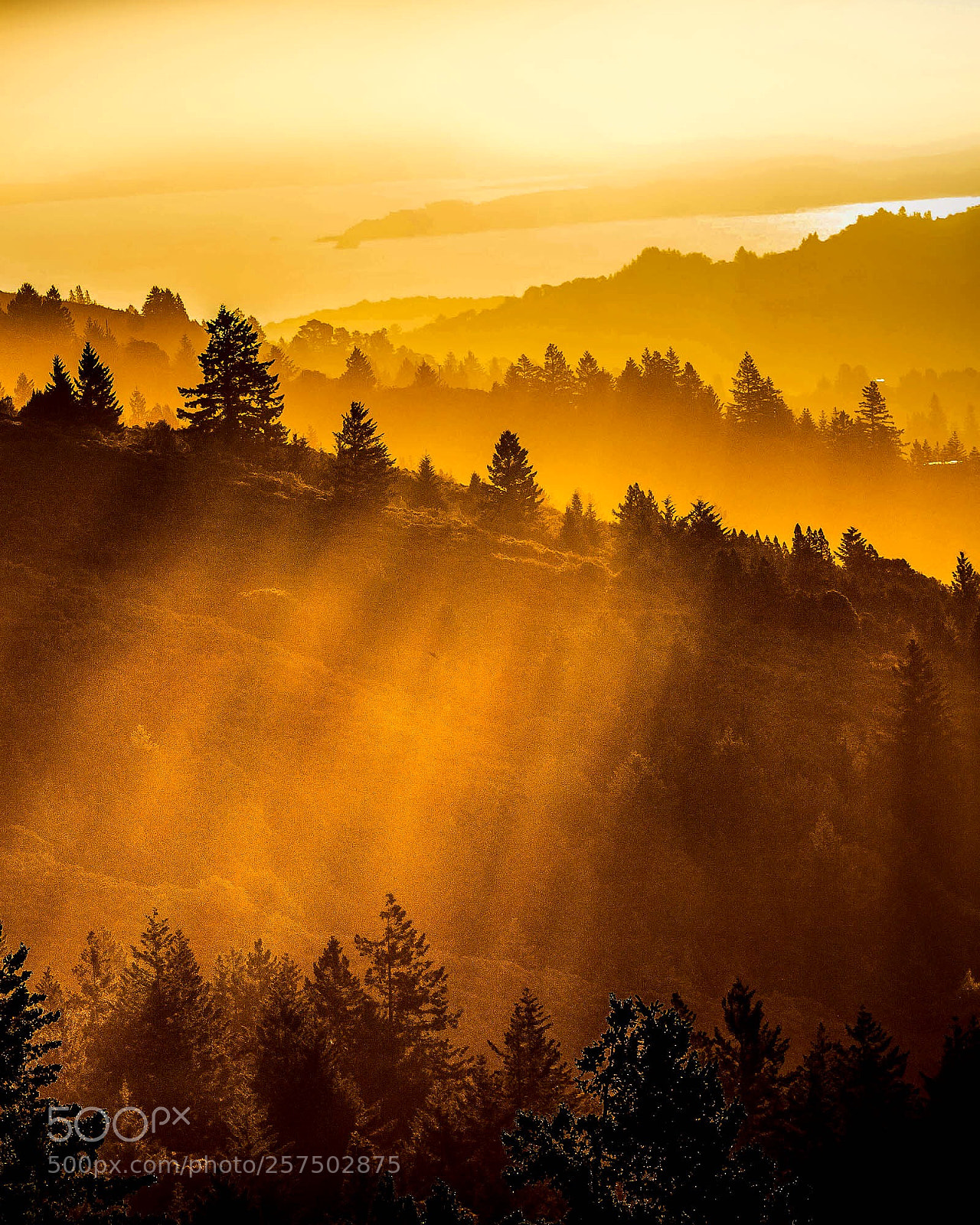 Canon EOS 6D sample photo. "sunshine heaven" photography