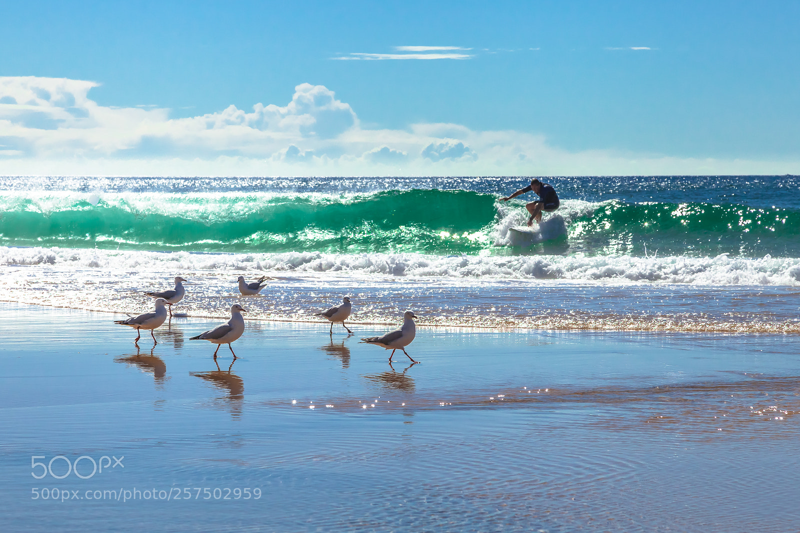 Canon EOS 5D Mark II sample photo. Surfer photography