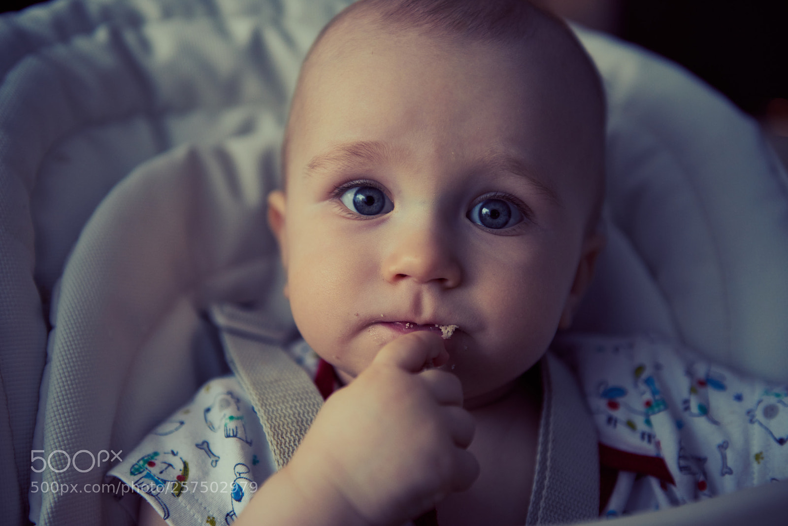 Nikon D800 sample photo. Demian photography