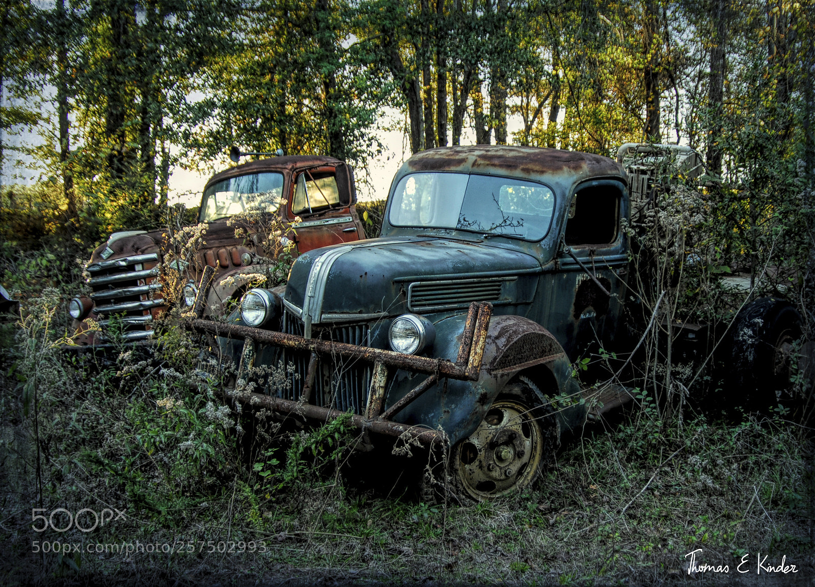 Nikon D200 sample photo. A couple of retirees. photography