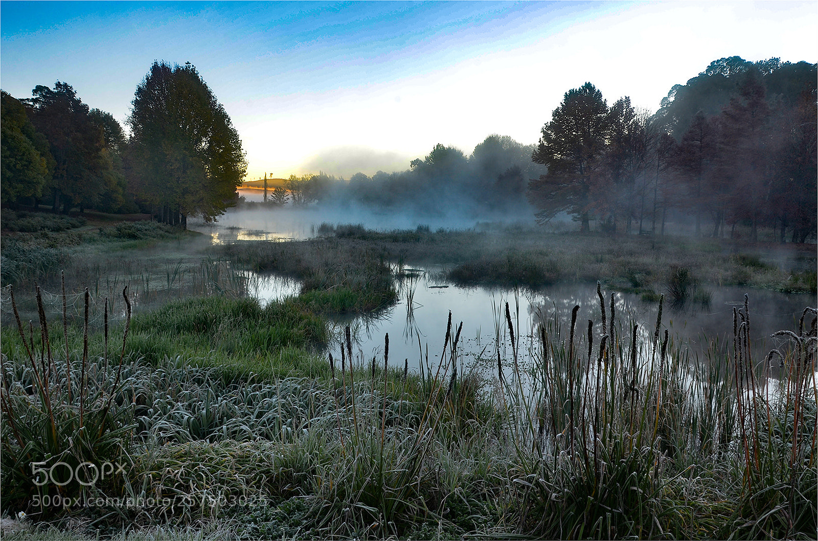 Nikon D7000 sample photo. Smoke on the water photography