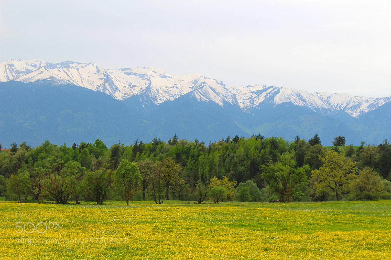 Canon EOS 1300D (EOS Rebel T6 / EOS Kiss X80) sample photo. Spring nature landscape photography