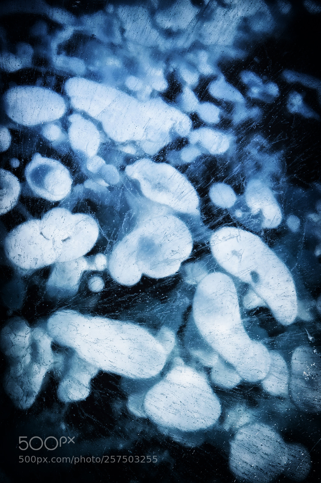 Canon EOS 6D sample photo. "abstract snow" photography