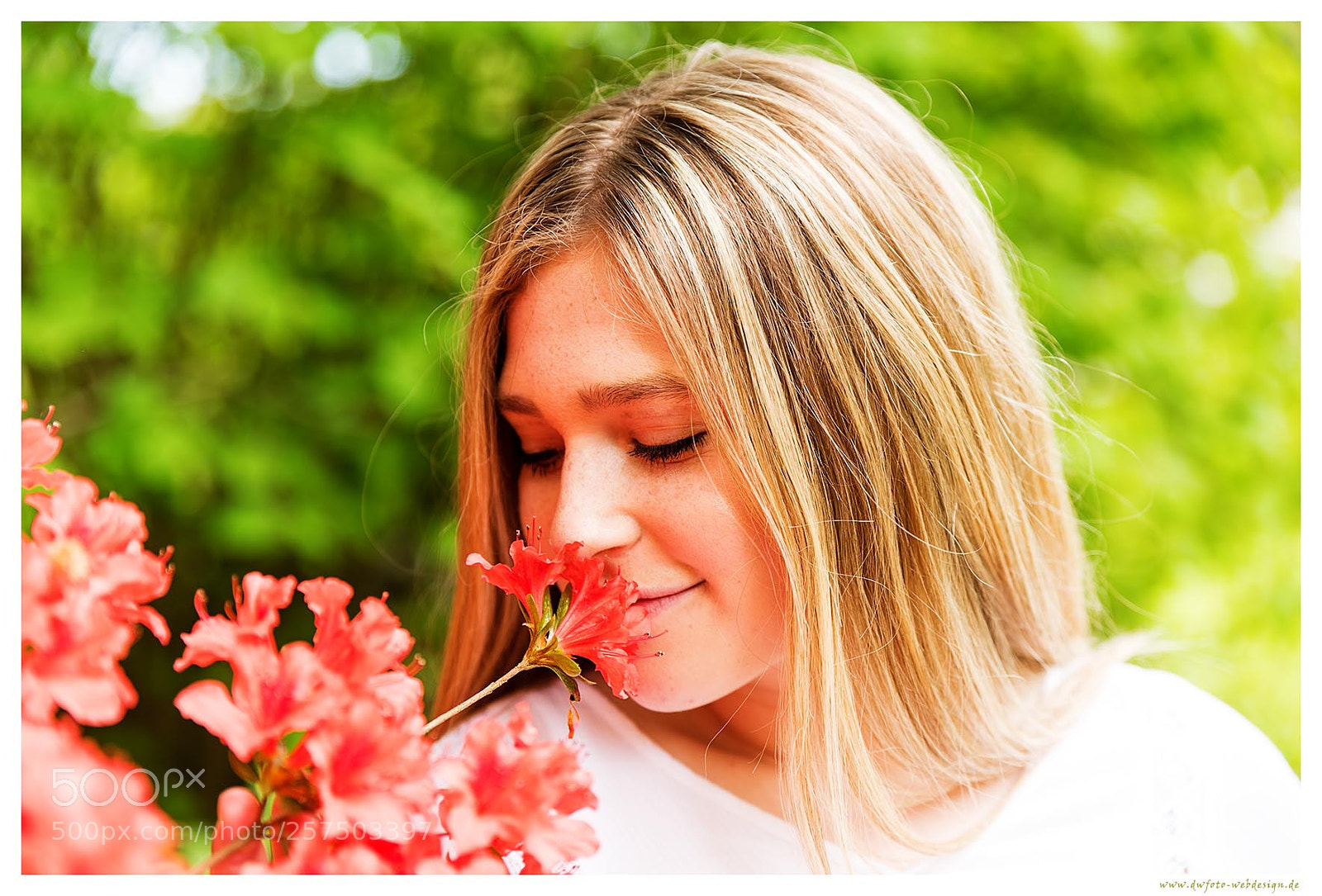 Nikon D750 sample photo. Flowers love photography