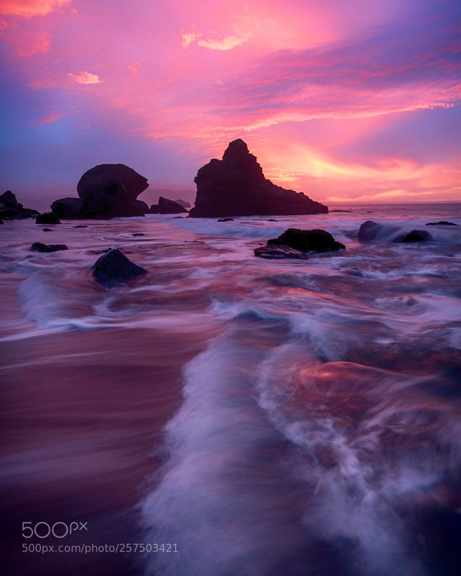 Canon EOS 6D sample photo. "vibrant drama" photography