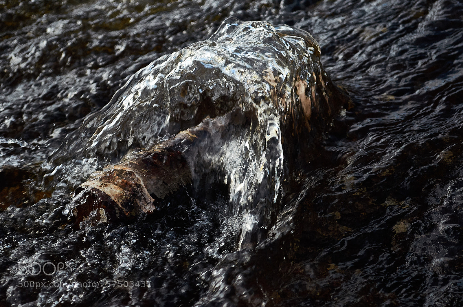 Nikon D5100 sample photo. Obstructing the flow photography