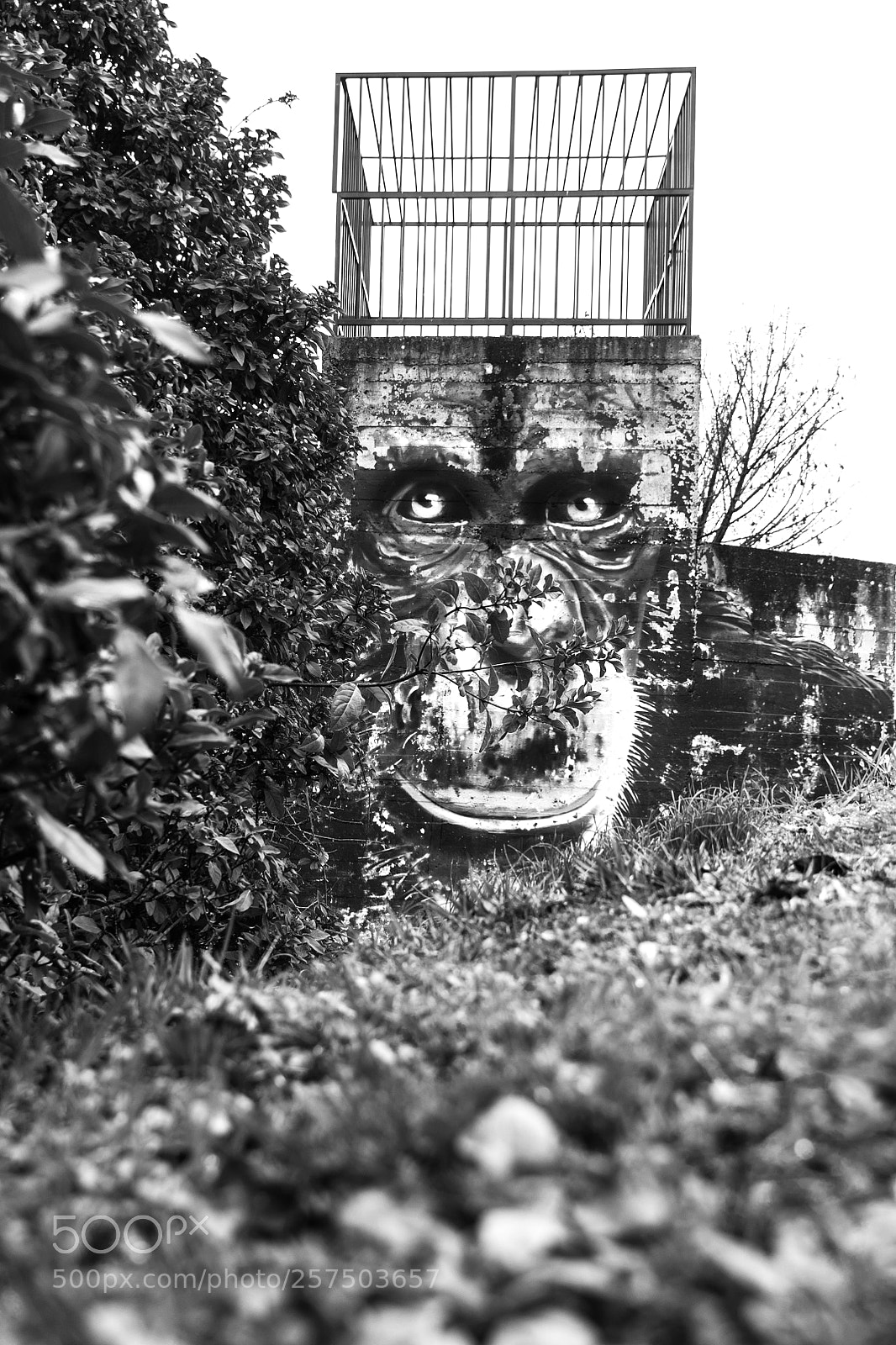 Canon EOS 70D sample photo. Just a graffiti crouching photography