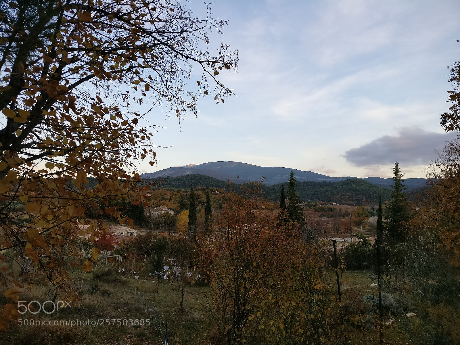 OnePlus A3003 sample photo. Img_20171122_165828.jpg photography