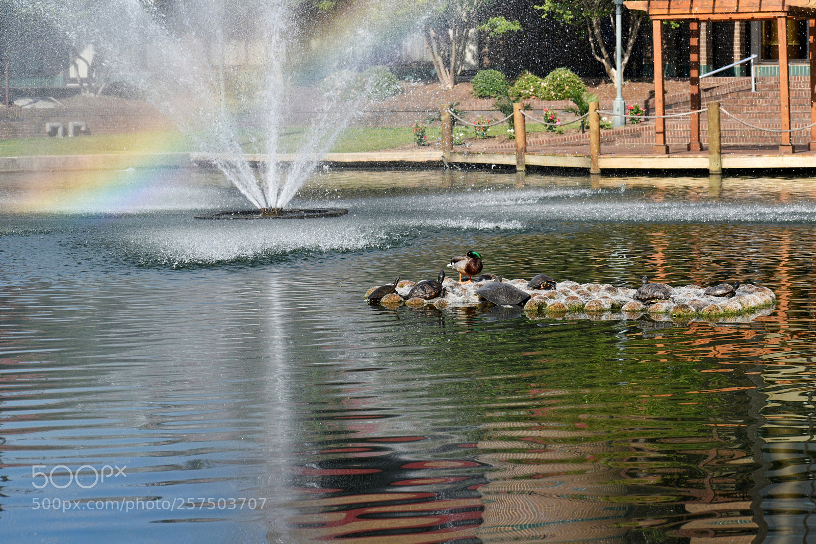 Nikon D5600 sample photo. Untitled photography
