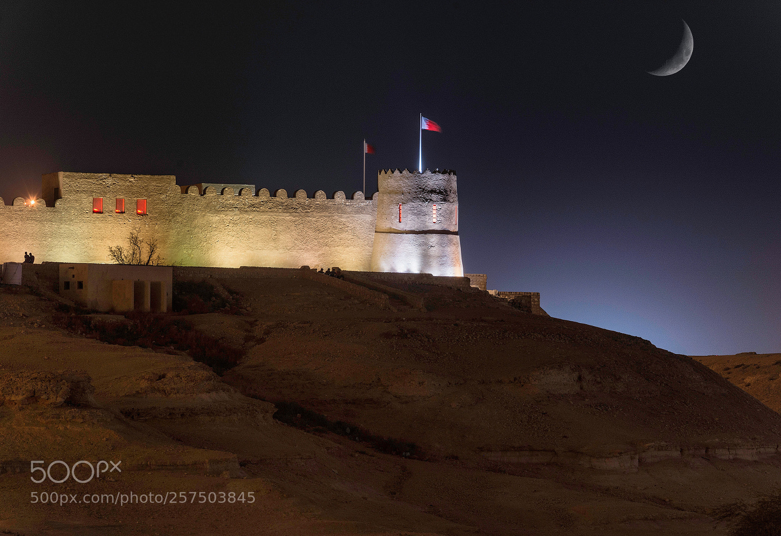Nikon D7100 sample photo. Riffa fort photography
