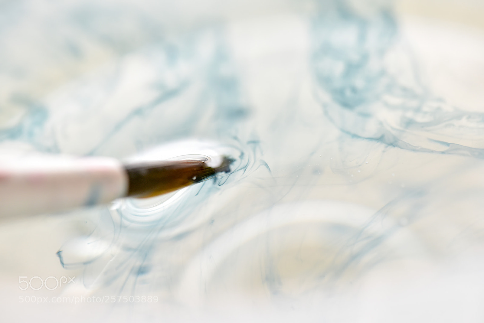 Nikon D810 sample photo. Paint photography