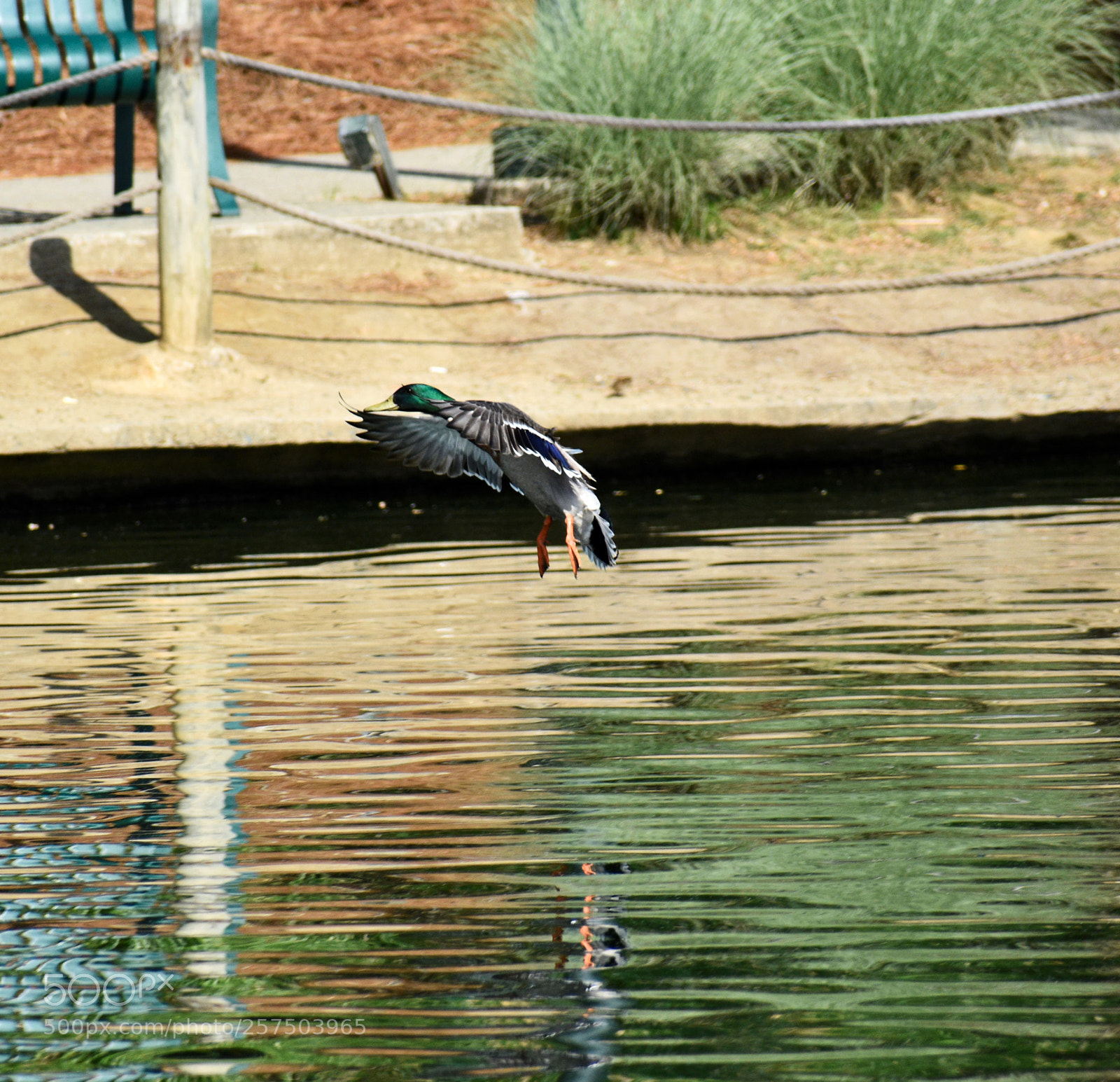 Nikon D5600 sample photo. Untitled photography